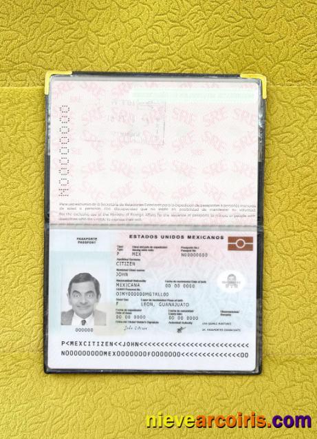 Mexico passport new 2022-present photolook